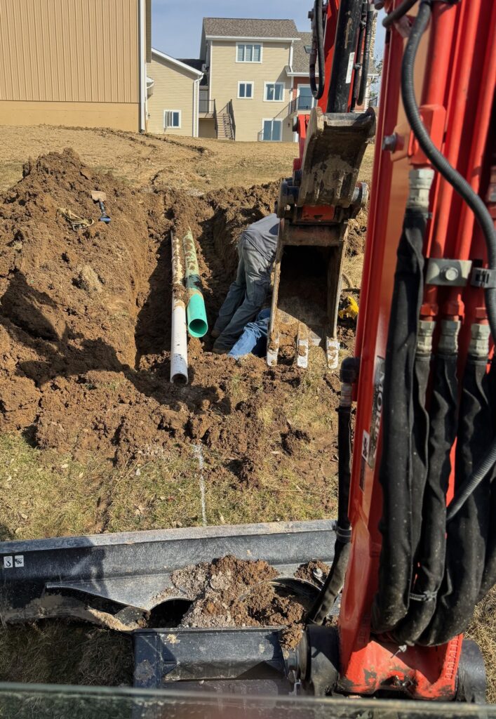 IMG 6931 Crop 707x1024